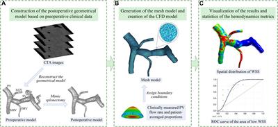 A computational model-based study on the feasibility of predicting post-splenectomy thrombosis using hemodynamic metrics